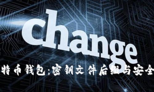 探秘比特币钱包：密钥文件后缀与安全性解析